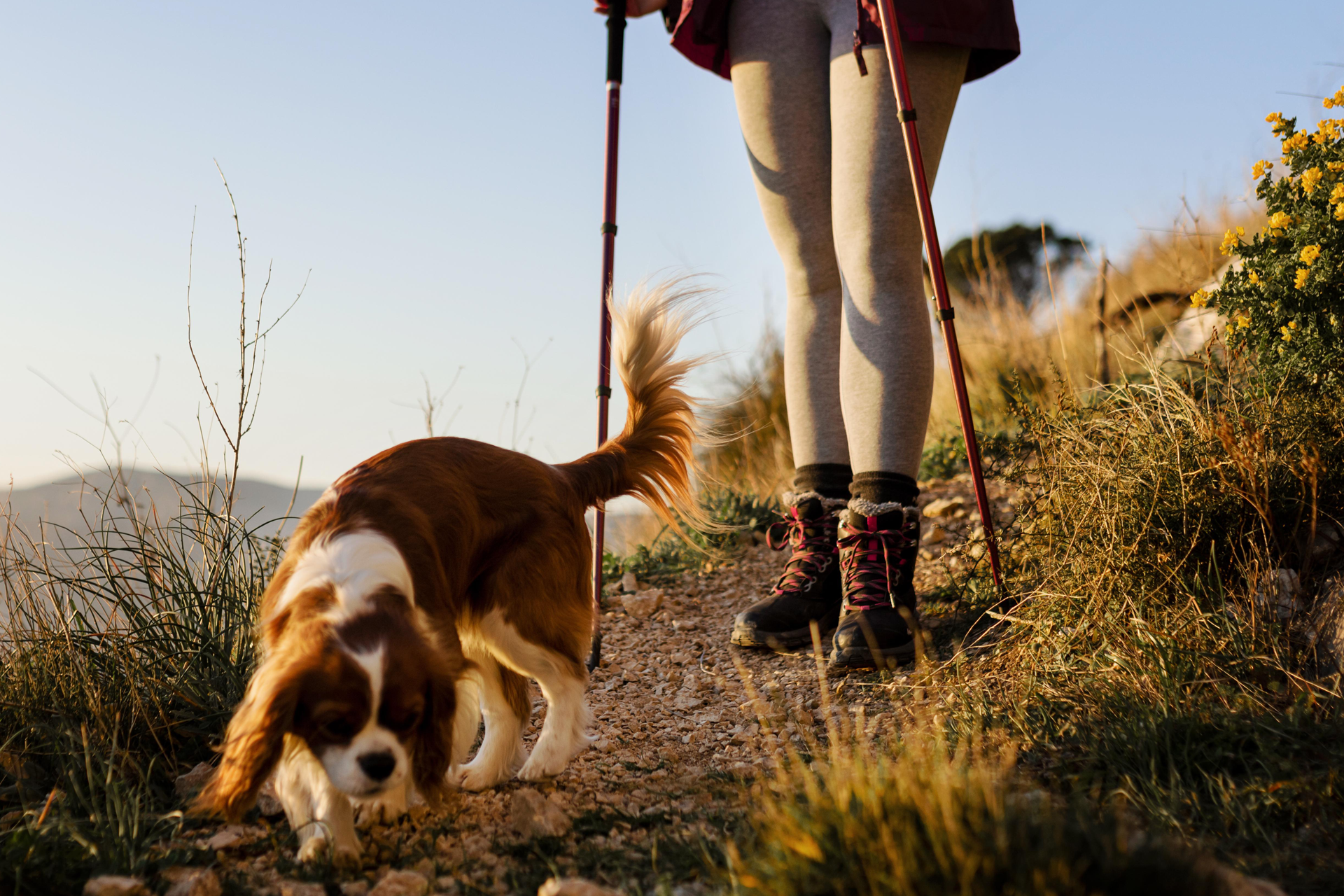 casa rural pet friendly y rutas de senderismo en la Sierra de Francia