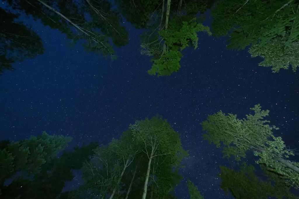 Cielo nocturno en el Parque Natural de las Batuecas