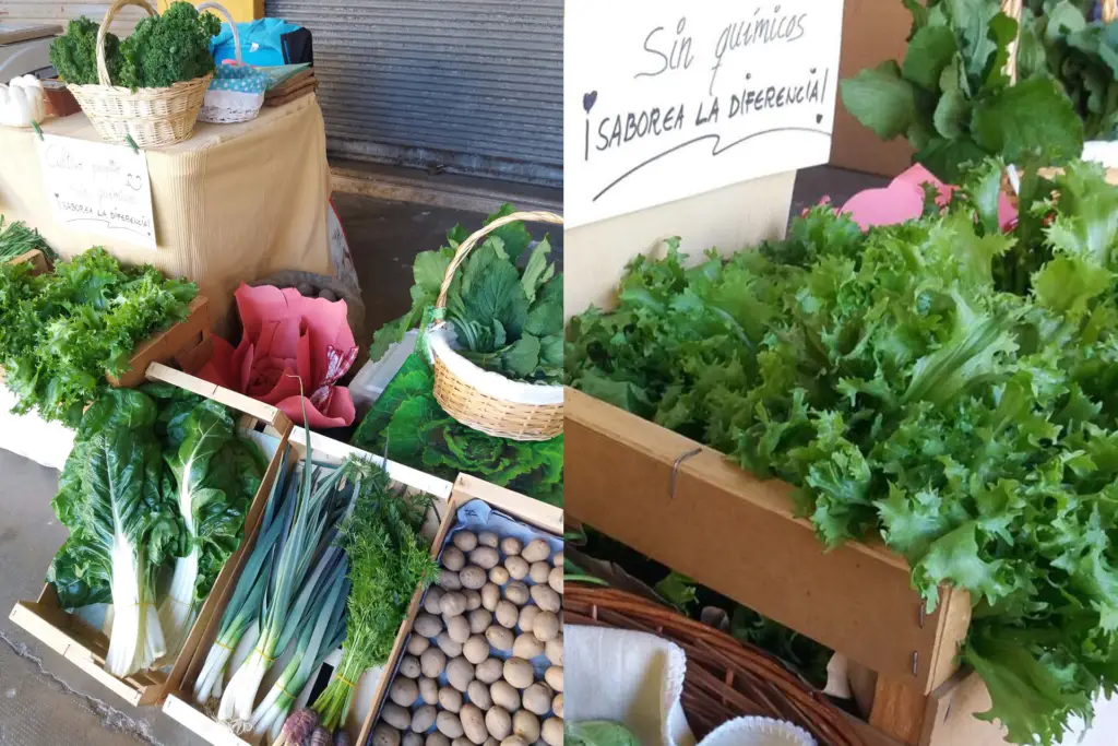 Escapada gastronómica en la Sierra de Francia | Ferias y mercados locales